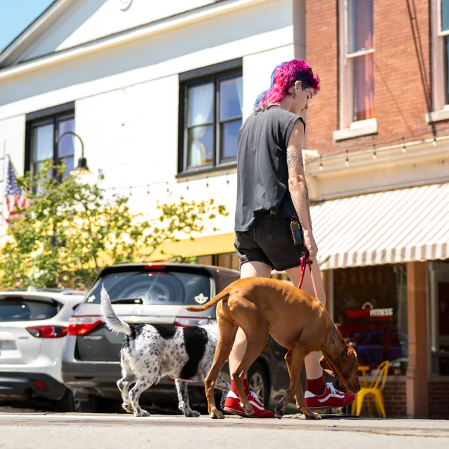 Trained dog at Black Woof Inn