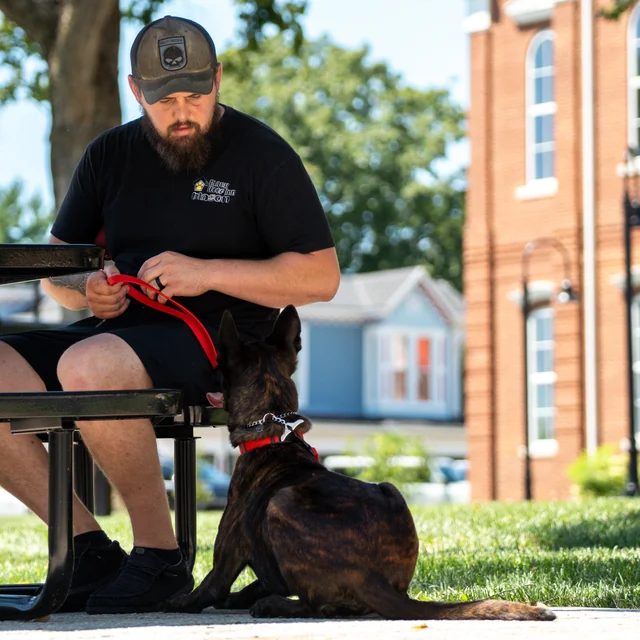 Trained dog at Black Woof Inn